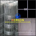 hot dipped galvanized Grassland Fence ,field fence| werson fence